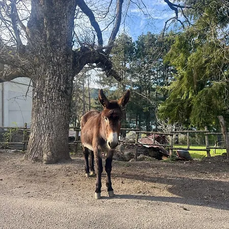 Lawa Caprara (Crotone)