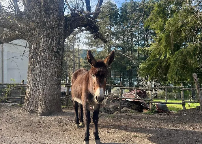Lawa Caprara (Crotone)